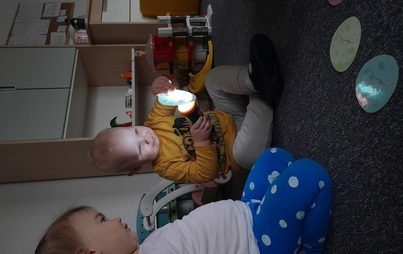 Zdjęcie do Poszukiwanie Dinozaura w grupie Misie